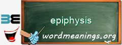 WordMeaning blackboard for epiphysis